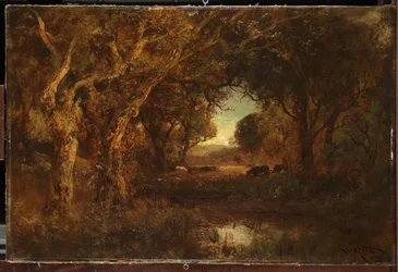 Paysage au coucher du soleil avec des arbres